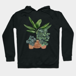 House plants 7 Hoodie